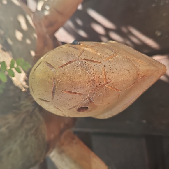 Coconut Turtle Planter - Picture 2 of 4